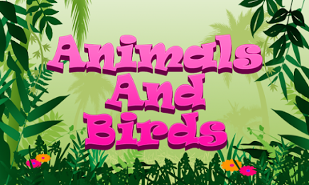 Animals and Birds by Intellisense poster 15