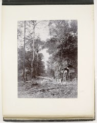 Gezicht langs een weg door het oerwoud, Sumatra (Weg aus dem Urwald)