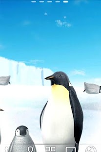 download Penguin Live Wallpaper Trial free