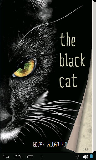 The Black Cat - eBook