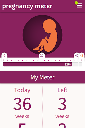 Pregnancymeter