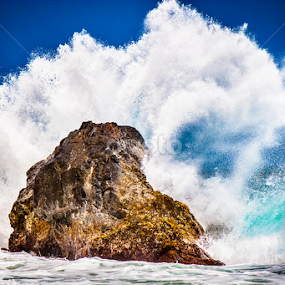 Ocean Wave Crashing upon Rock by Joe Boyle - Landscapes Waterscapes