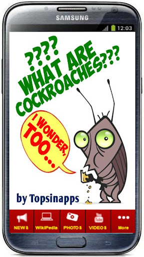 WHAT ARE COCKROACHES