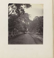 Batavia - Gang Scott