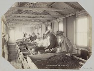 Interieur van een hal waar gravel wordt gesorteerd op diamanten te Kimberley