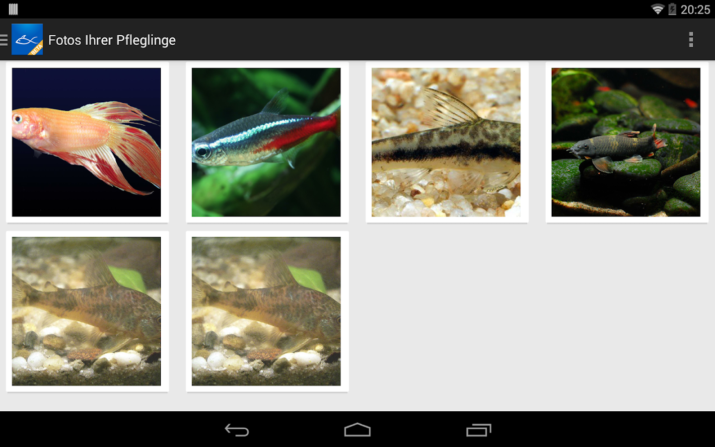 Aquarium Manager AndroidApps auf Google Play
