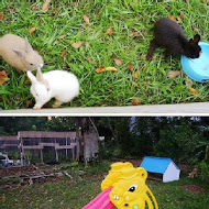 A‧maze兔子迷宮咖啡餐廳