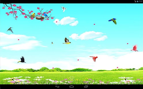 Sky Birds Live Wallpaper