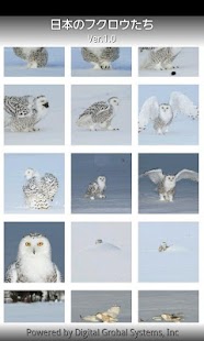 Android application Owls of Japan screenshot