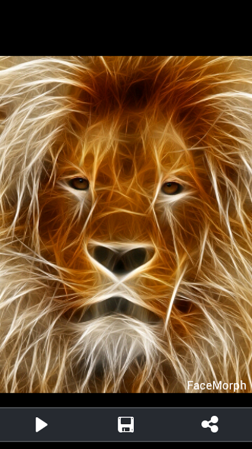 Face Morph Android Apps on Google Play