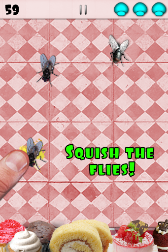 Fly Smasher Top Free Game App