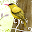 Cuenta Cuentos el Pajarito Download on Windows