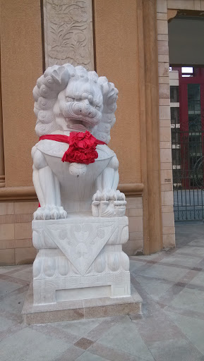 感动中国的狮子