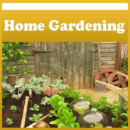 Home Vegetable Gardening Tips