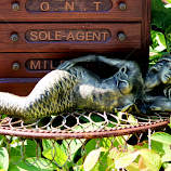 Mermaid at Rest by Leah Zisserson -  