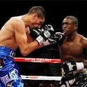 boxing Jigsaw