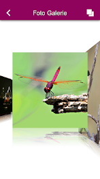 Foto Marlin Basel – Foto Profi poster 6