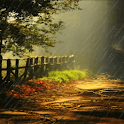 Rainy Night Live Wallpaper