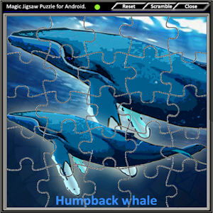 Magic Jigsaw Puzzle 3.apk 1.13