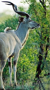 Download Visit South Africa APK