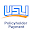 USLI Download on Windows