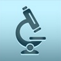 Bacterial identification icon
