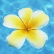Sweet Pics Link Game