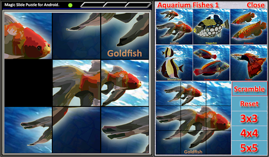 How to download Magic Slide Puzzle A Fishes 1 1.29 unlimited apk for laptop