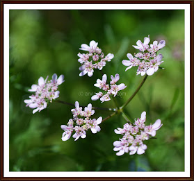 HD Photography India poster 3