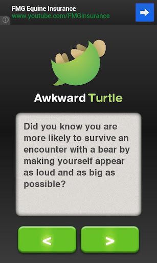 Awkward Turtle