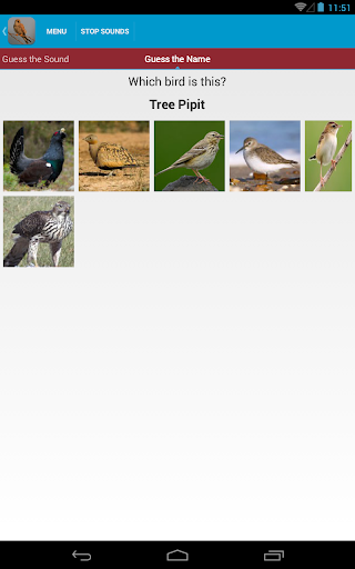 【免費教育App】Spanish Birds Sounds Free-APP點子