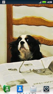 How to install Studious Pets Live Wallpaper 3.6.0.0 mod apk for bluestacks