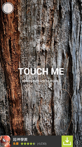 Touch Wood - 觸木