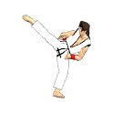 Final Karate