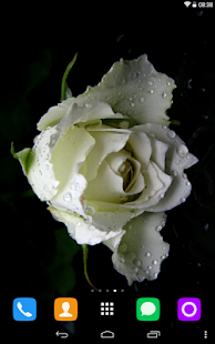 How to mod White Rose Live Wallpaper 1.1.1 unlimited apk for pc