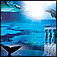 How I Found The Lost Atlantis