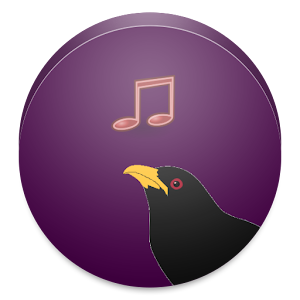 Koyal Bird Ringtone