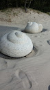 Seashells on Pärnu Beach