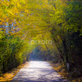 by Arkadeb Kar - Novices Only Landscapes