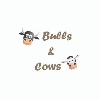 Bulls and Cows