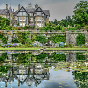 reflection by Marie Leather - Nature Up Close Water