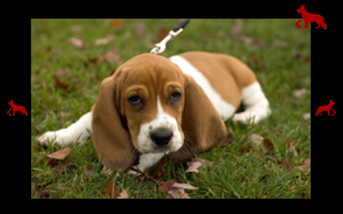 my first dogs Screenshots 3