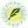 Amazing Colorful Feather Theme Download on Windows