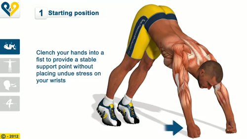 Chest Workout Screenshots