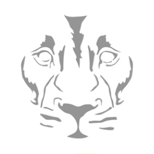 Focus One Investment 4.0.1