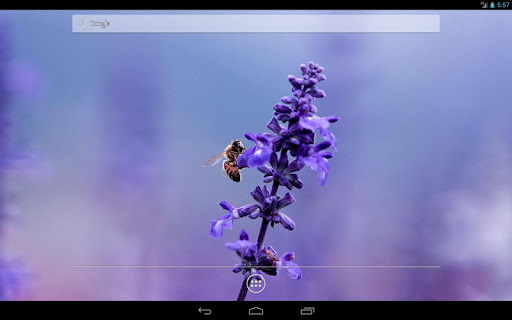 免費下載個人化APP|Flower HD Live Wallpaper app開箱文|APP開箱王