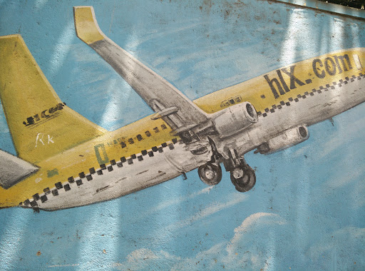 hlx.com Plane Mural