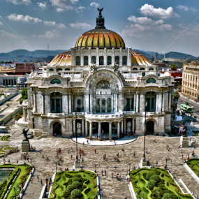 Bellas Artes by Carlos Casillas - Buildings & Architecture Public & Historical