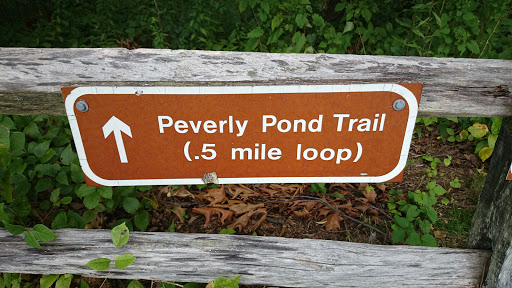 Peverly Pond Trails 