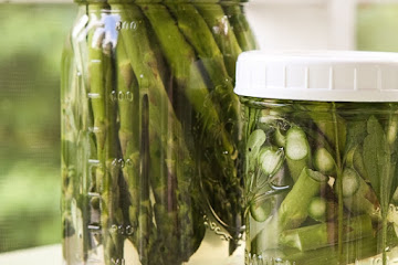 Winey Briny Quick Pickles–Asparagus